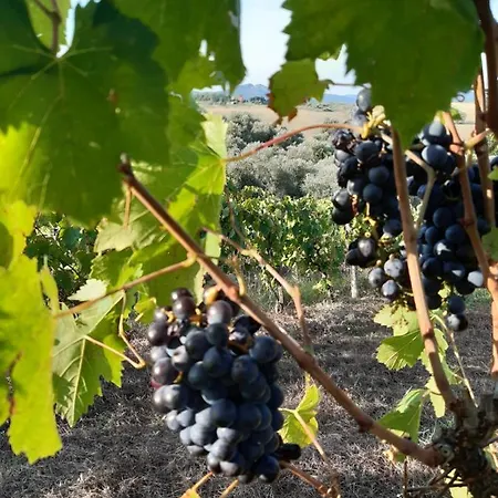 Santa Chiara * 波马兰切