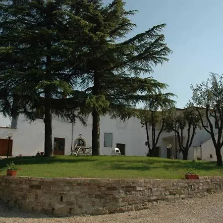 Santa Chiara