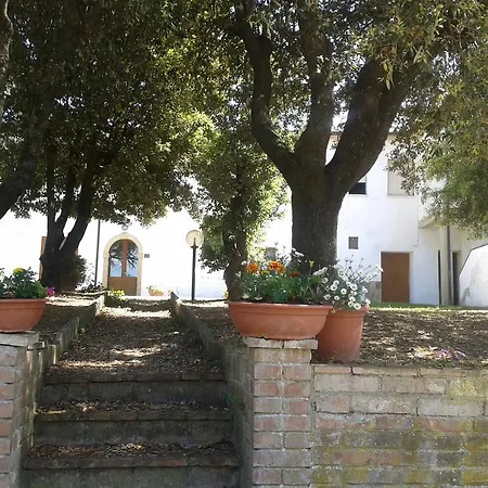 Santa Chiara *